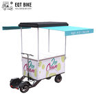 Xe kem thương mại EQT Xe đạp chở hàng Xe đạp điện Xe ba bánh tủ đông để bán đồ uống lạnh tự động